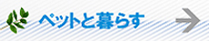 lsq恃ybgptH[